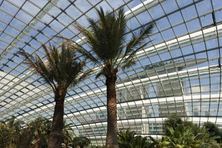 �V���K�|�[���Q�Q