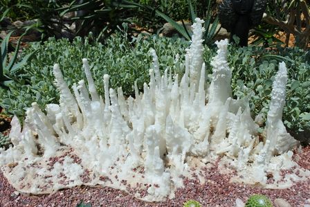 �V���K�|�[���Q�U