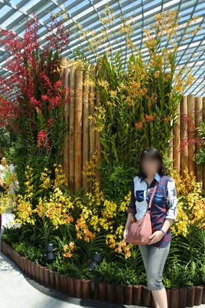 �V���K�|�[���Q�X