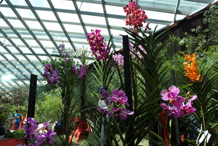 �V���K�|�[���R�R