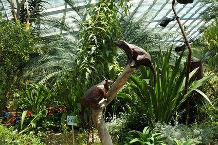 �V���K�|�[���R�U