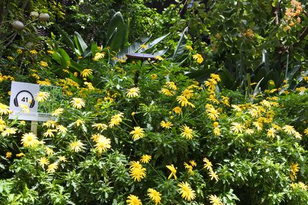 �V���K�|�[���S�R