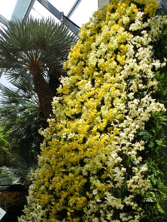 �V���K�|�[���S�S