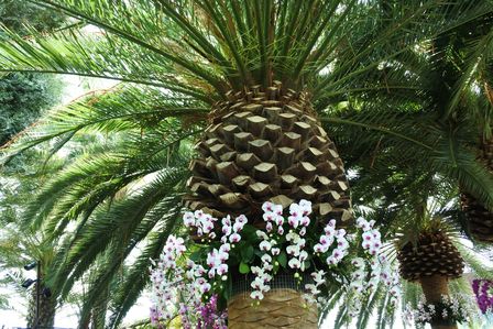 �V���K�|�[���S�V