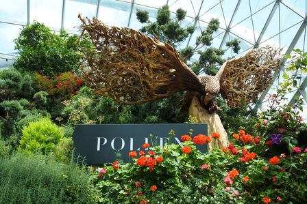 �V���K�|�[���T�O