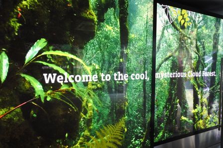 �V���K�|�[���T�W