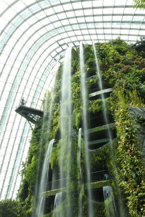 �V���K�|�[���T�X