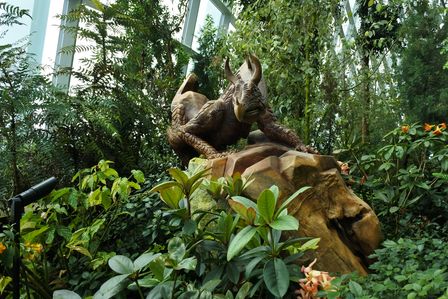 �V���K�|�[���U�O