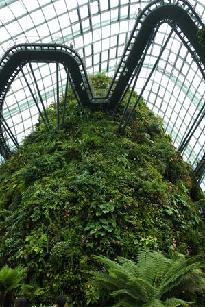 �V���K�|�[���U�S