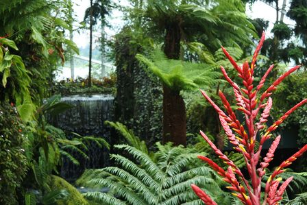 �V���K�|�[���U�U