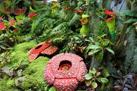 �V���K�|�[���U�V