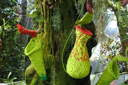 �V���K�|�[���U�W