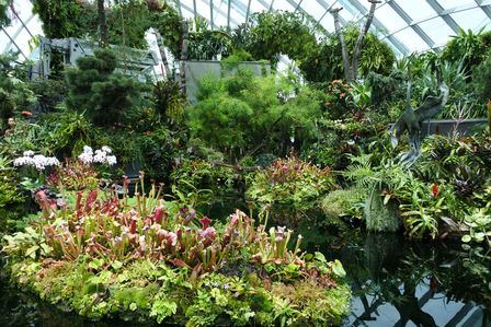 �V���K�|�[���U�X