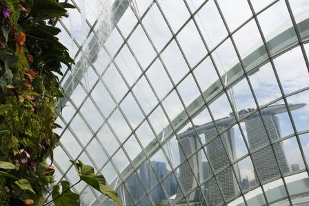 �V���K�|�[���V�Q