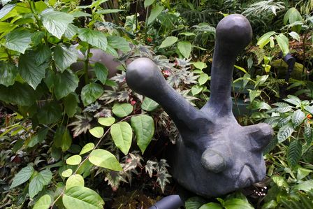 �V���K�|�[���V�T