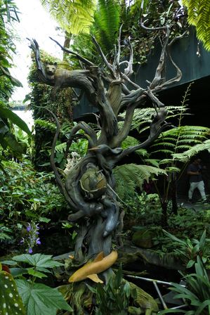 �V���K�|�[���V�U