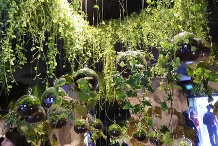 �V���K�|�[���W�O