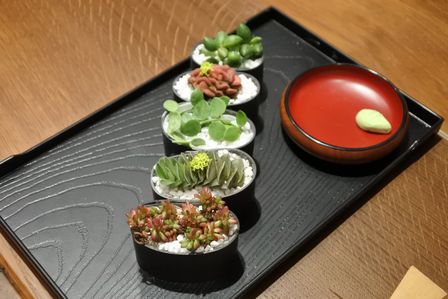 �V���K�|�[���W�Q