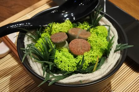 �V���K�|�[���W�R