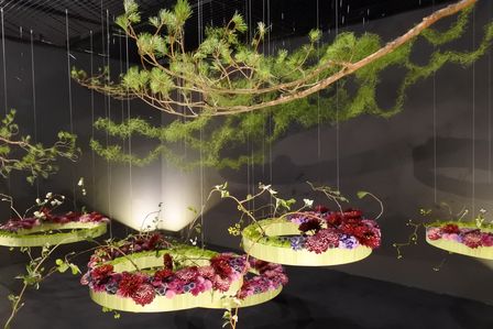 �V���K�|�[���W�U