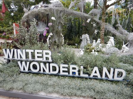 �V���K�|�[���W�W