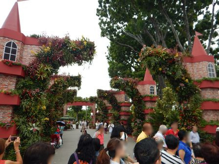 �V���K�|�[���X�S