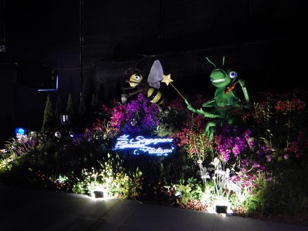 �V���K�|�[���X�T