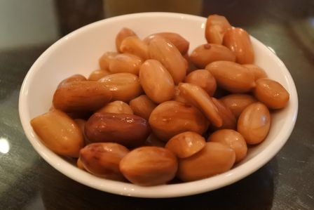 �V���K�|�[���P�O�R