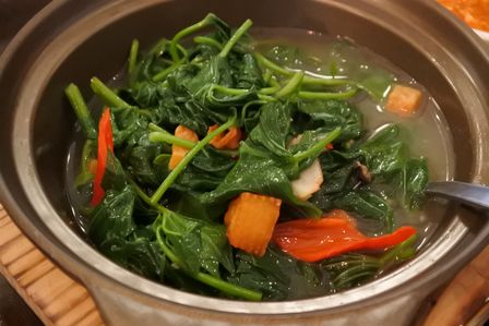 �V���K�|�[���P�O�U