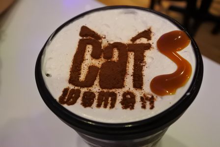 �V���K�|�[���P�P�P