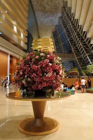 �V���K�|�[���P�P�R