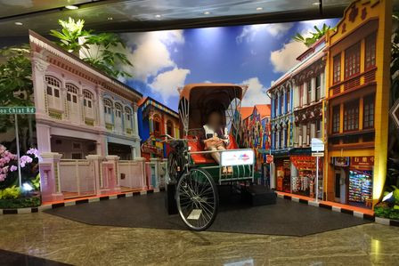 �V���K�|�[���P�P�T