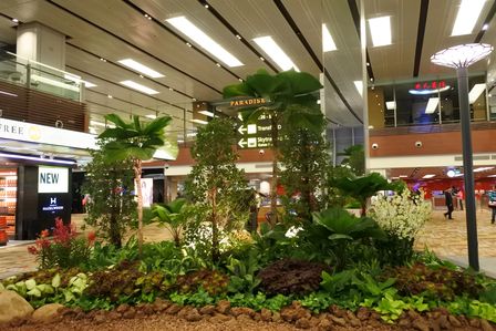 �V���K�|�[���P�P�V