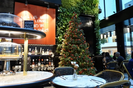 �V���K�|�[���T