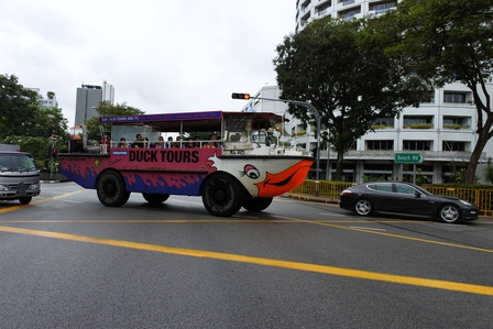 �V���K�|�[���P�P