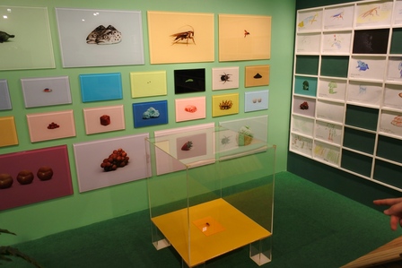 �V���K�|�[���Q�V