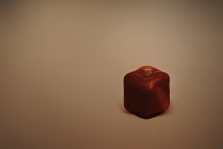 �V���K�|�[���R�O