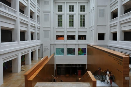 �V���K�|�[���R�P