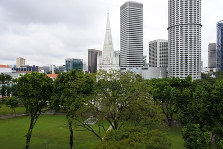 �V���K�|�[���R�U