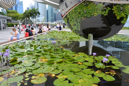 �V���K�|�[���T�P