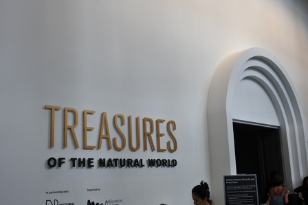 �V���K�|�[���T�U