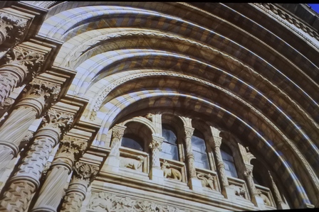 �V���K�|�[���T�V