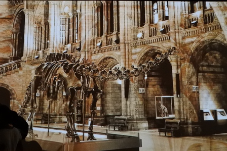 �V���K�|�[���T�W