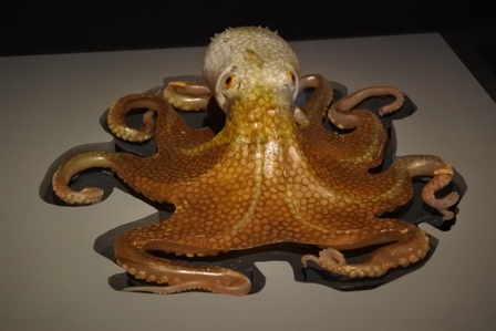 �V���K�|�[���U�Q