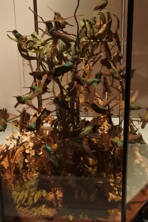 �V���K�|�[���U�V