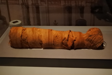 �V���K�|�[���U�X