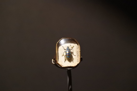 �V���K�|�[���V�R