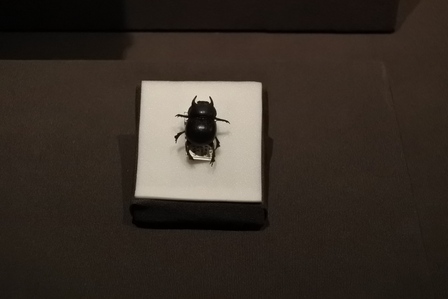 �V���K�|�[���W�U