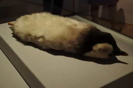 �V���K�|�[���X�Q