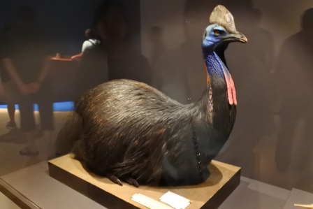 �V���K�|�[���X�S